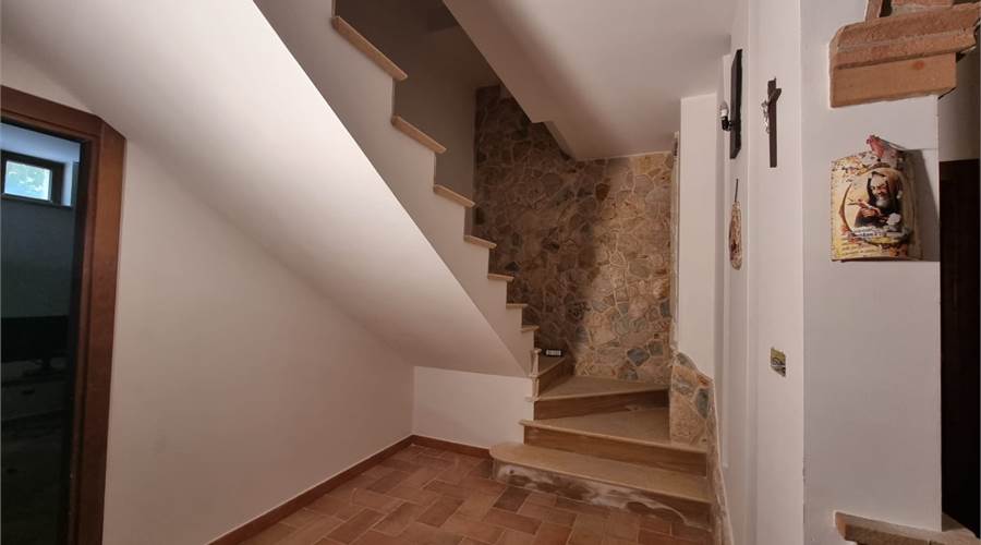 Photo 28
